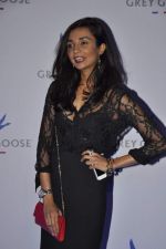 Ira Dubey at Grey Goose in association with Noblesse fashion bash in Four Seasons, Mumbai on 10th Dec 2013